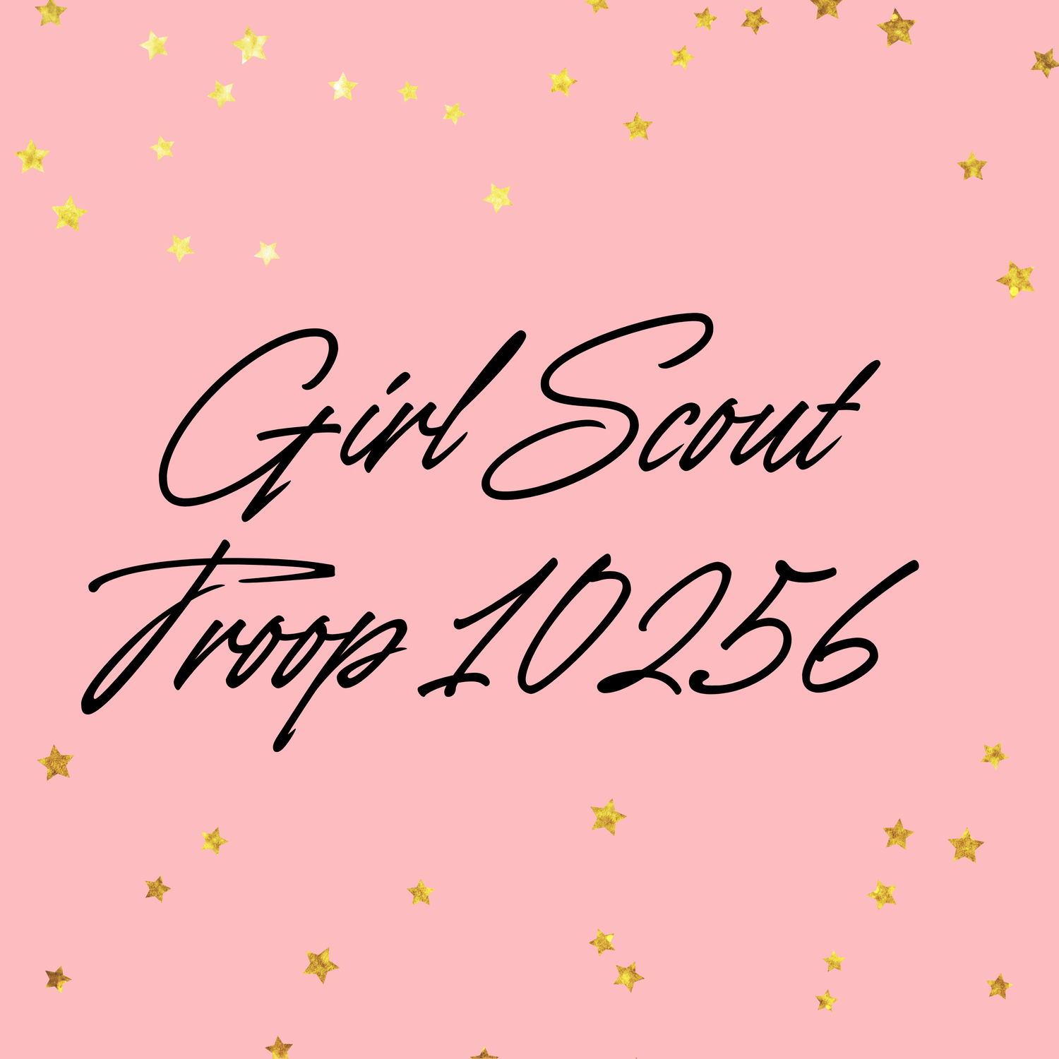 Girl Scout Troop 10256