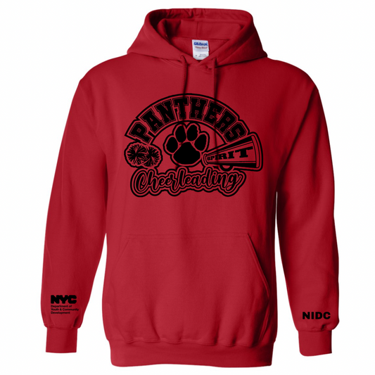 Panthers Cheer Extra Hoodies